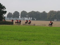 img_5947_web